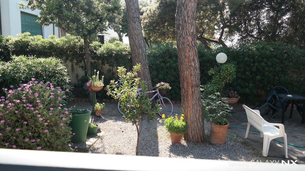La Zattera Camere San Vincenzo Esterno foto